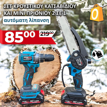 <tc>WerkBull σετ κρουστικού τρυπανιού και πριονιού με αυτόματη λίπανση ράβδος 22 cm + δύο μπαταρίες 36 V 8 Ah</tc>