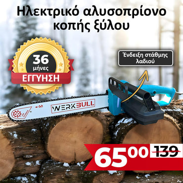 <tc>Ηλεκτρικό αλυσοπρίονο κοπής ξύλου WerkBull / 3800W /</tc>
