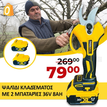 <tc>Επαγγελματικό κλαδευτήρι μπαταρίας χωρίς ψήκτρες WerkBull Germany® /36V, 8Ah/ + δύο μπαταρίες  χρωμα μπλε ή κιτρινο</tc>